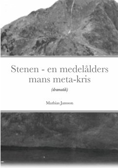 Stenen - en medelålders mans meta-kris - Jansson, Mathias
