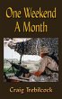 One Weekend a Month - Bild 1