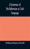 A grammar of the Bohemian or Cech language