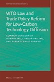Wto Law and Trade Policy Reform for Low-Carbon Technology Diffusion: Common Concern of Humankind, Carbon Pricing, and Export Credit Support