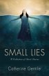 Small Lies - Bild 1