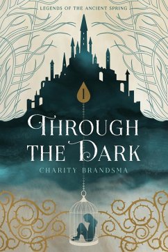 Through the Dark - Brandsma, Charity Nichole