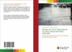 Gestão de riscos hidrológicos na zona urbana de Porto Velho/RO