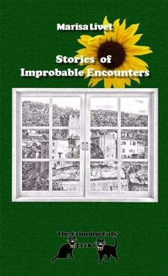 Stories of Improbable Encounters - Livet, Marisa