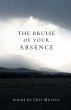 The Bruise of Your Absence - Bild 1