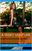 A Risky Venture (eBook, ePUB)