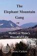 The Elephant Mountain Gang - Mystery at... - Bild 1