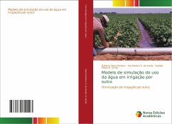 Modelo de simulação do uso da água em irrigação por sulco - Vieira Pordeus, Roberto; A. de Araújo, Ana Beatriz; B. Simão, Kadidja Meyre