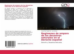 Regímenes de amparo de los desastres naturales en el Derecho Español - Ruiz-Tagle Vial, Carlos; Colman, Luis