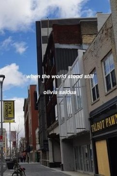 when the world stood still - Saldua, Olivia