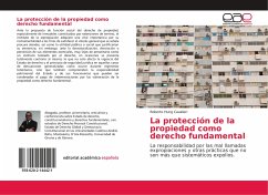 La protección de la propiedad como derecho fundamental - Hung Cavalieri, Roberto