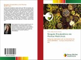 Resgate Etnobotânico de Plantas Medicinais