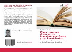 Cómo crear una dirección de ingeniería geotécnica y sus lineamientos - Obando Rivera, Tupak Ernesto