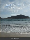 The beauty of Mazatlan beach - A brief photo guide