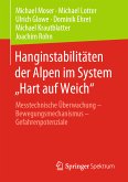 Hanginstabilitäten der Alpen im System „Hart auf Weich&quote; (eBook, PDF)