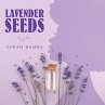 Lavender Seeds - Bild 1