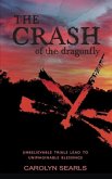 The Crash of the Dragonfly: Unbelievable Trials Lead to Unimaginable Blessings