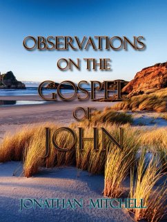 Observations on the Gospel of John - Mitchell, Jonathan Paul