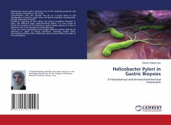 Helicobacter Pylori in Gastric Biopsies