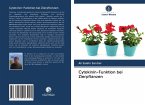 Cytokinin-Funktion bei Zierpflanzen