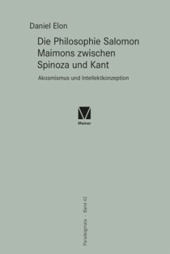 Die Philosophie Salomon Maimons zwischen Spinoza und Kant - Elon, Daniel