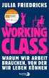 Working Class (eBook, ePUB) - Bild 1