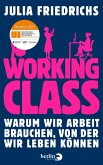 Working Class (eBook, ePUB)