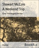 A Weekend Trip (eBook, ePUB)