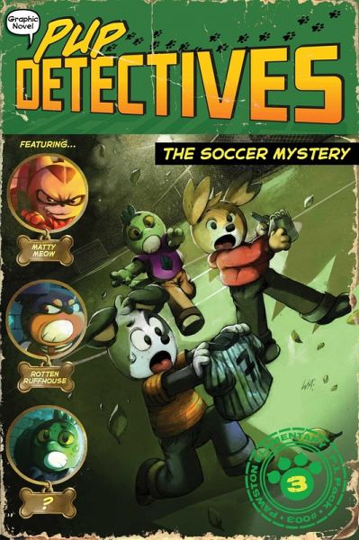 The Soccer Mystery (eBook, ePUB)