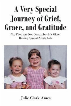 A Very Special Journey of Grief, Grace, and Gratitude (eBook, ePUB) - Ames, Julie Clark
