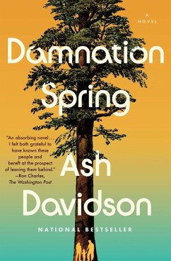 Damnation Spring (eBook, ePUB) - Davidson, Ash