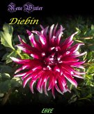 Diebin (eBook, ePUB)