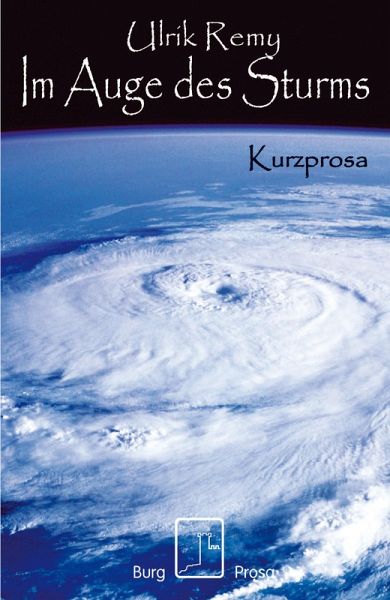 Im Auge des Sturms (eBook, ePUB)