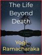 The Life Beyond Death (eBook, ePUB) - Bild 1