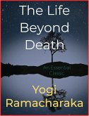 The Life Beyond Death (eBook, ePUB)