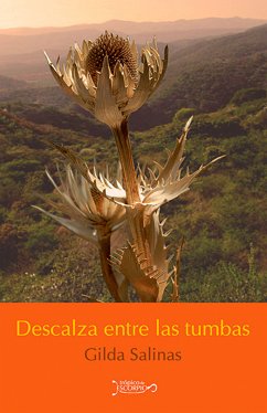 Descalza entre las tumbas (eBook, ePUB) - Salinas, Gilda