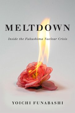 Cover Meltdown (eBook, ePUB)