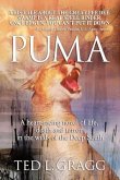 Puma (eBook, ePUB)