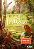 Ein Mädchen namens Willow Bd.1 (eBook, ePUB)