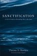 Sanctification (eBook, PDF) - Bild 1
