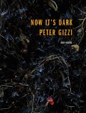 Now It's Dark (eBook, ePUB)