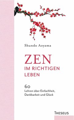 Zen im richtigen Leben - Aoyama, Shundo