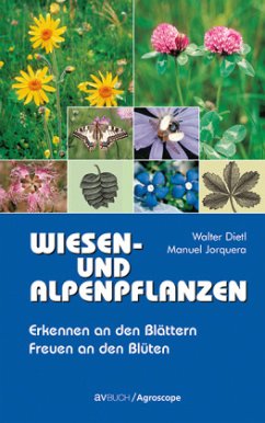 Wiesen- und Alpenpflanzen - Dietl, Walter;Jorquera, Manuel