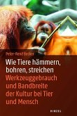 Wie Tiere hämmern, bohren, streichen (eBook, PDF)