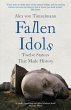 Fallen Idols (eBook, ePUB) - Bild 1