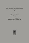 Magie und Halakha (eBook, PDF)