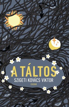 Cover A táltos (eBook, ePUB)