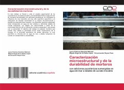 Caracterización microestructural y de la durabilidad de morteros