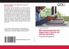 Micropropagación de algarrobo a partir de yemas apicales