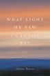 What Light He Saw I Cannot Say (eBook,... - Bild 1